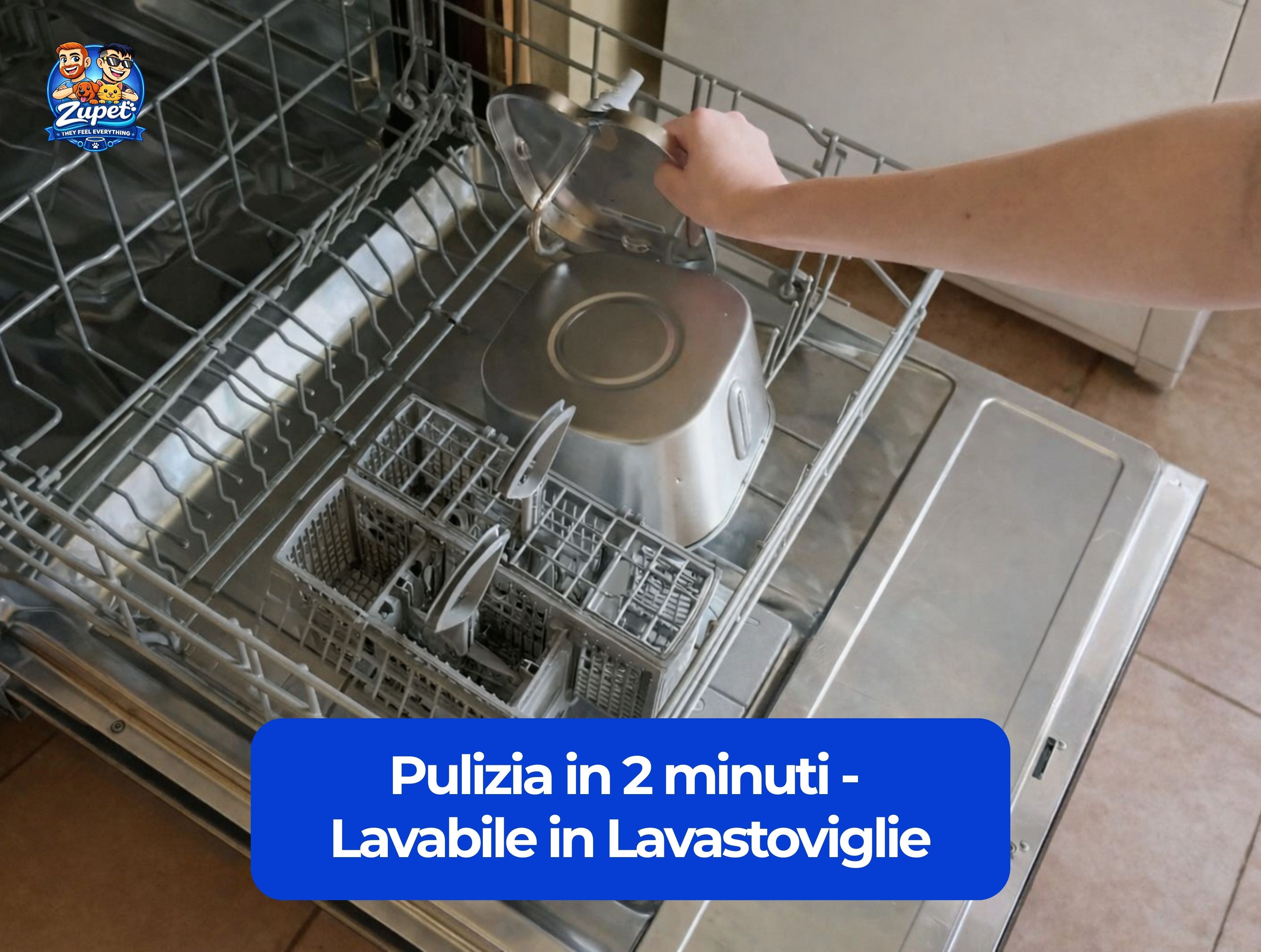 AquaSense™ - Sistema Biomimetico d'Idratazione per Gatti